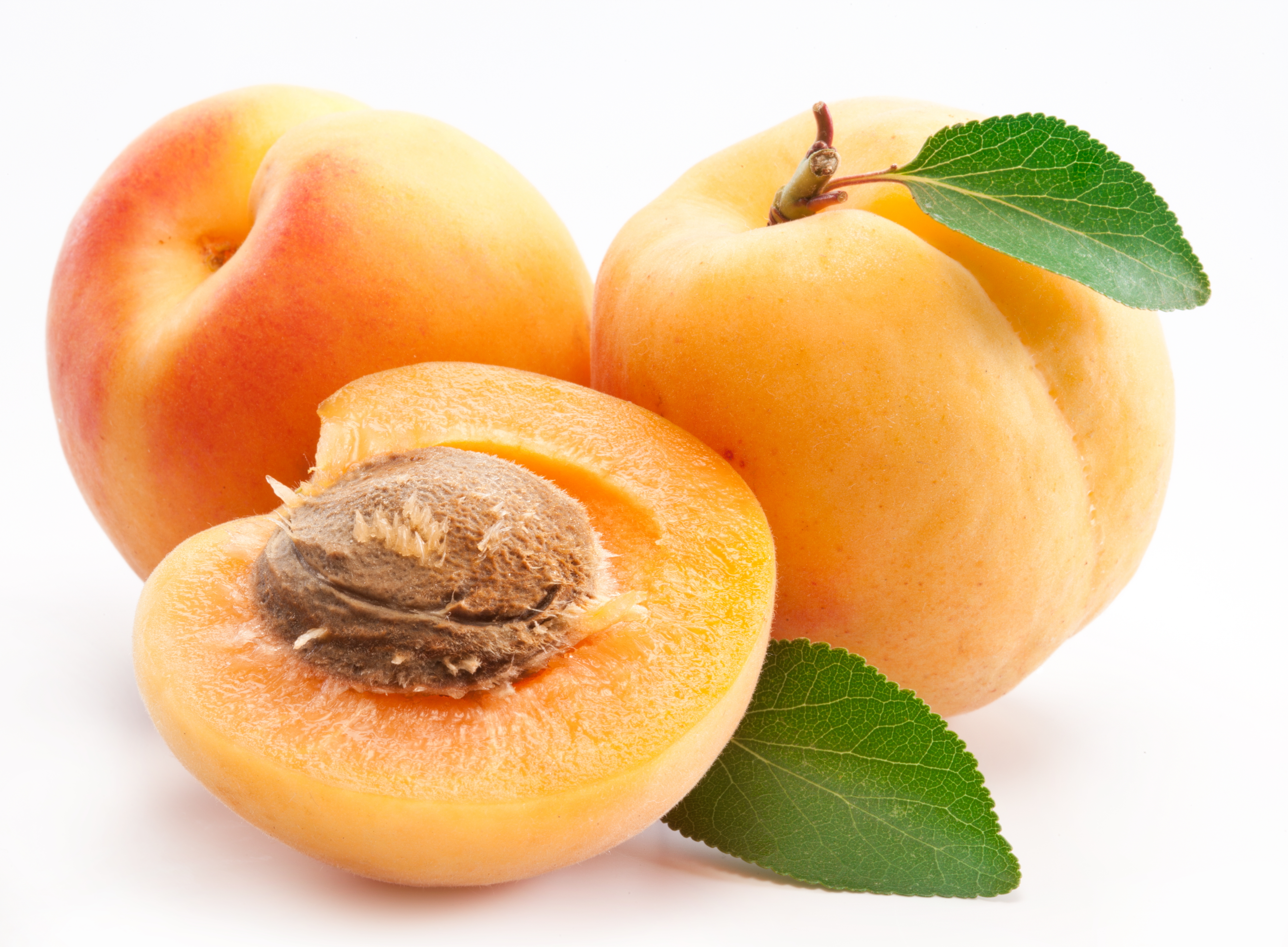 Peynirli Su Böreği